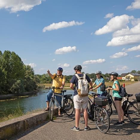 Group of cyclists on the Rhine embankment in Plittersdorf