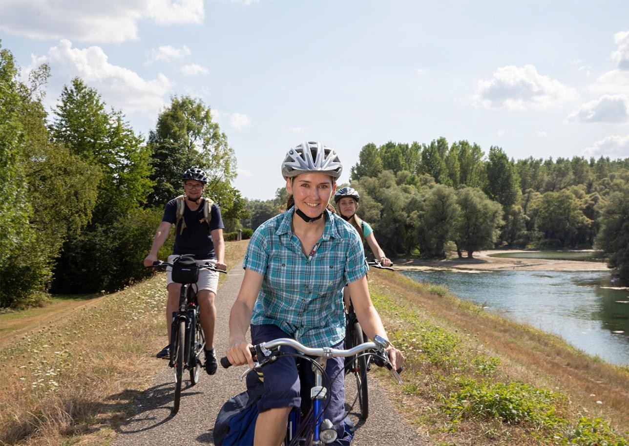 Fahrradfahrer auf dem Rheindamm bei Plittersdorf