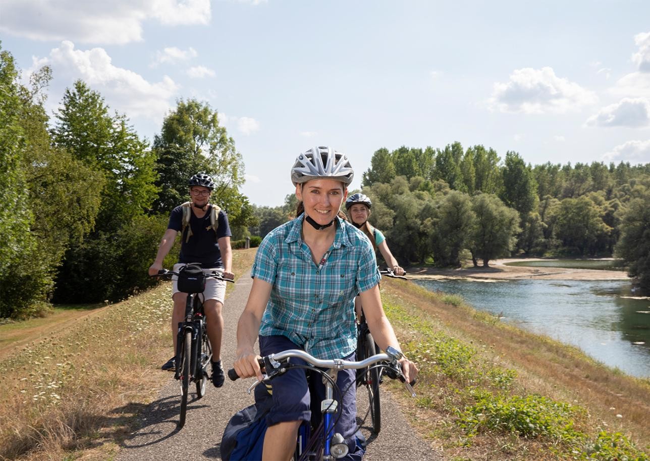 Cyclist on the Rhine embankment near Plittersdorf