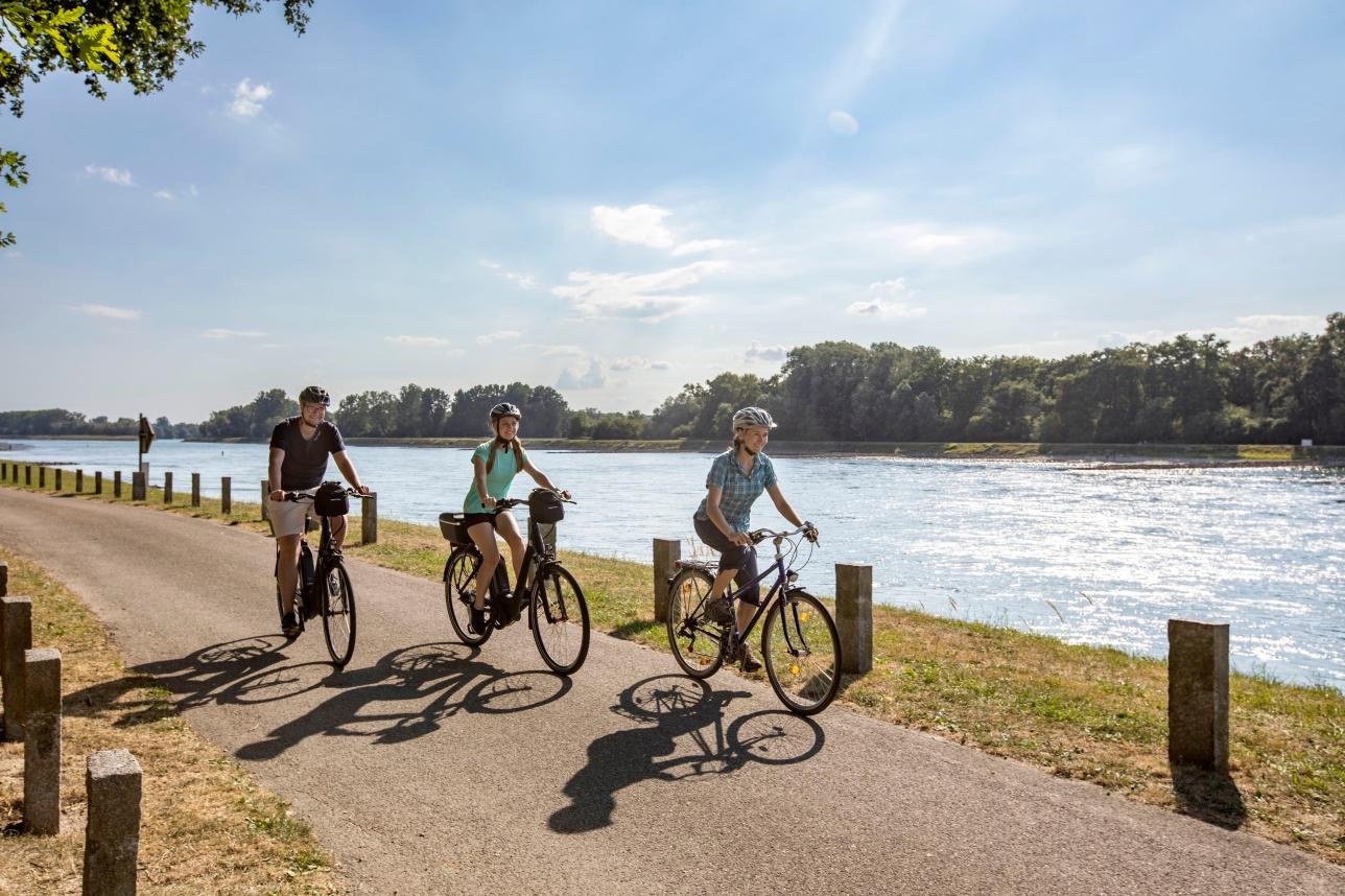 Zwei Frauen und ein Mann fahren am Rheindamm Fahrrad an einem Sommertag
