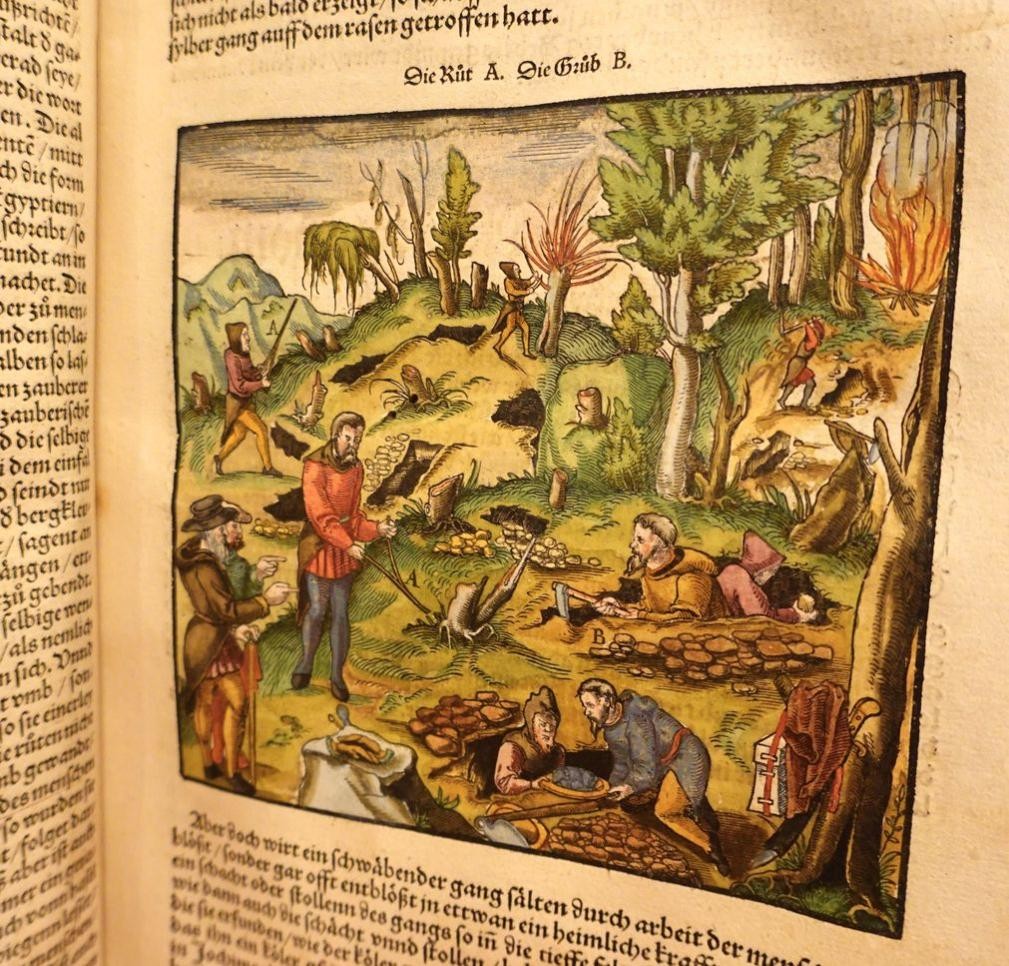 Um die Darstellung und Illustrationen von Natur dreht sich alles in der Historischen Bibliothek Rastatt. Foto: Historische Bibliothek/Ute Luber Illustrationen von Natur