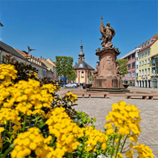 Yellow flowers in the flowerpot in front of the Bernhardusbrunnen fountain in Rastatt