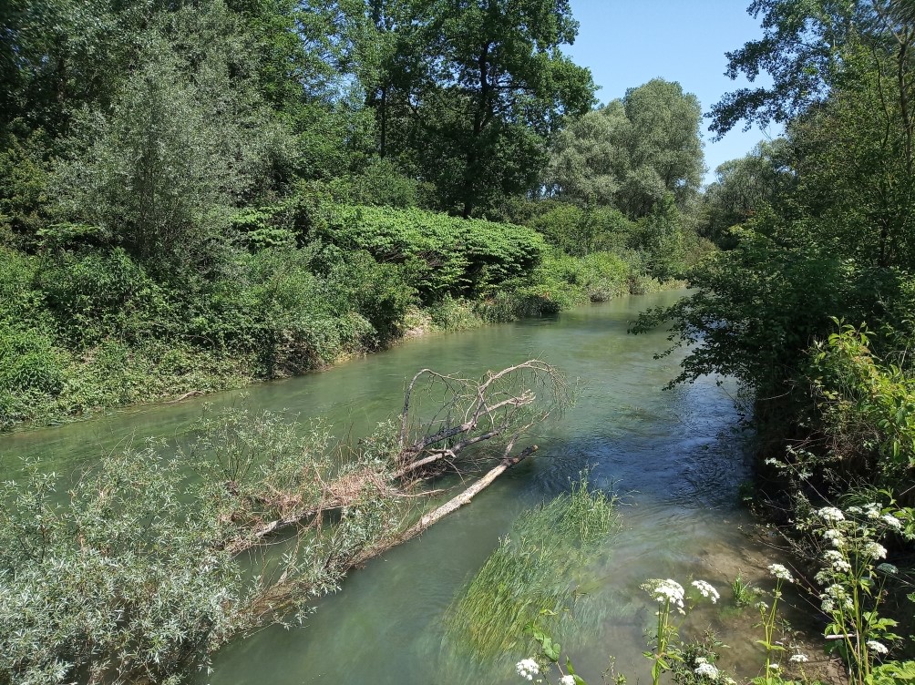 Rastatter Rheinauen. Foto: Christian Damm Rheinauen in Rastatt